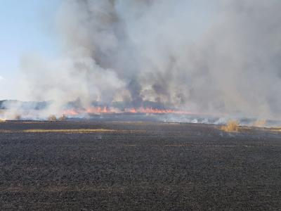 Foto des Albums: Einsatz vom 08.08.2020