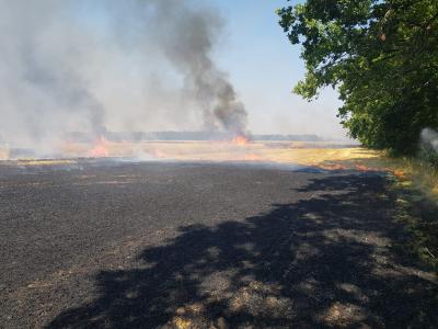 Foto des Albums: Einsatz vom 08.08.2020