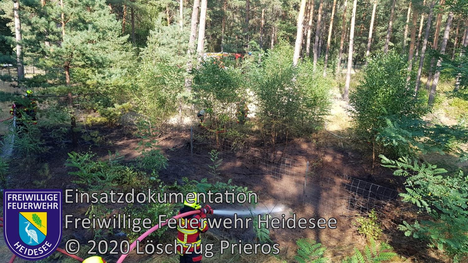 Bild: Einsatz 54/2020 | 50m² Waldbodenbrand | Prieros An der Dubrow