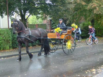 Stolzer Friese vor der Kutsche (2009) 