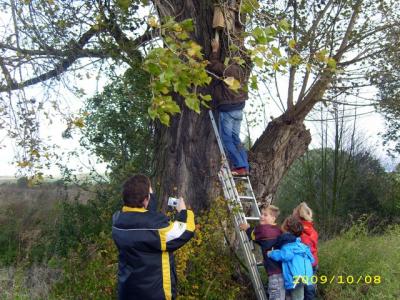 Foto des Albums: Nistkastenbau durch Schüler der Burggrundschule Kelbra