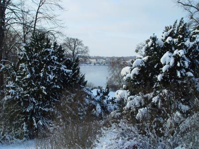 Foto des Albums: Babelsberger Park im Winter (03.01.2010)