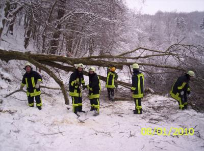Foto des Albums: Einsatz Baum auf Strasse in Pansfelde (08.01.2010)