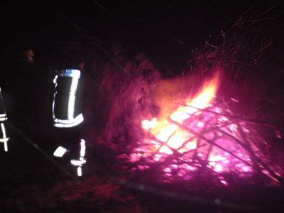 Foto des Albums: Weihnachtbaum verbrennen auf dem Schützenplatz (14.01.2010)