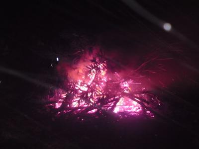Foto des Albums: Weihnachtbaum verbrennen auf dem Schützenplatz (14.01.2010)