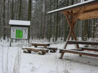 Foto des Albums: Ortsansichten Winter (21. 12. 2010)