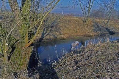 Foto des Albums: Weitere  Maßnahmen zur Renaturierung