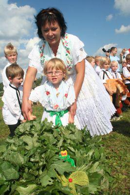 Foto des Albums: Kinderhahnrupfen Fehrow 2010