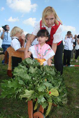 Foto des Albums: Kinderhahnrupfen Fehrow 2010