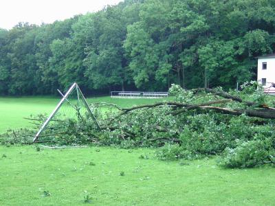 Fotoalbum Baum zerstört Tor im Waldstadion
