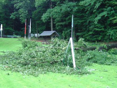 Foto des Albums: Baum zerstört Tor im Waldstadion (13.08.2011)