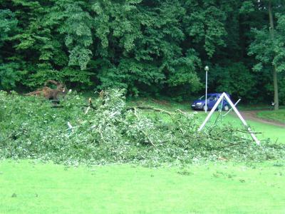 Foto des Albums: Baum zerstört Tor im Waldstadion (13.08.2011)