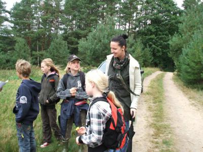 Foto des Albums: Wald- und Herbstfest