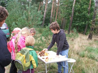 Foto des Albums: Wald- und Herbstfest