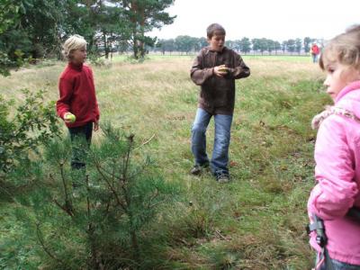 Foto des Albums: Wald- und Herbstfest