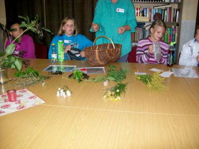 Foto des Albums: Projekttag der 5. Klasse beim Verein "Landblüte e.V. "