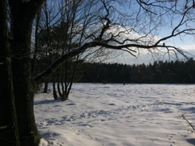 Foto des Albums: Winter (18.01.2012)