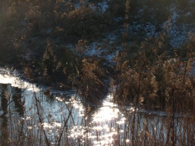Foto des Albums: Flußlandschaft Helme
