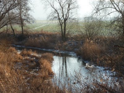 Foto des Albums: Flußlandschaft Helme