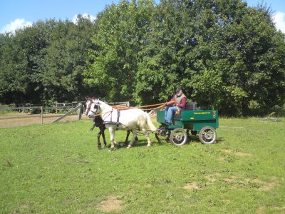Foto des Albums: Kutsche