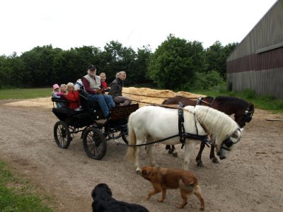Foto des Albums: Kutsche