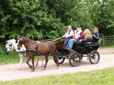 Foto des Albums: Kutsche