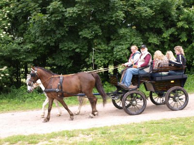 Foto des Albums: Kutsche