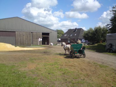Foto des Albums: Kutsche