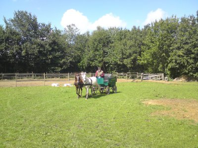 Foto des Albums: Kutsche