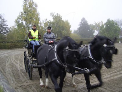 Foto des Albums: Kutsche