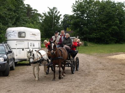Foto des Albums: Kutsche