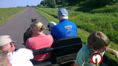 Foto des Albums: Kutsche