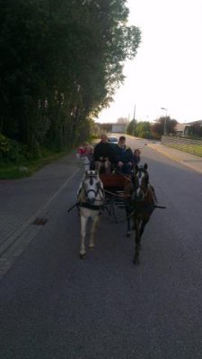 Foto des Albums: Kutsche