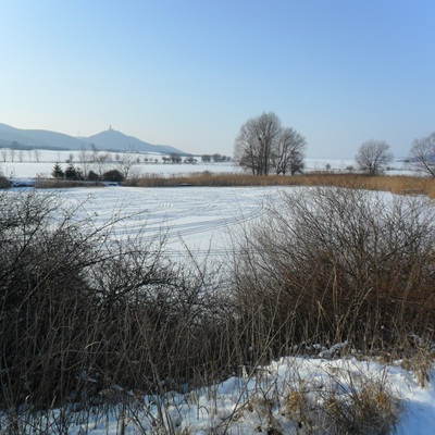 Foto des Albums: Winterimpressionen Melmensee