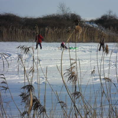 Foto des Albums: Winterimpressionen Melmensee