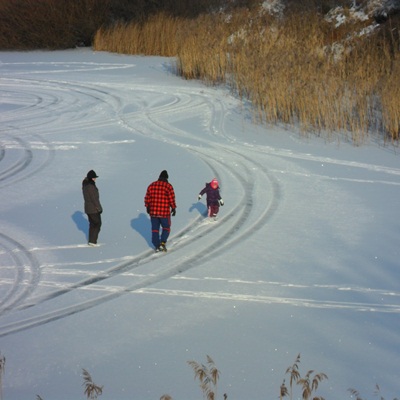 Foto des Albums: Winterimpressionen Melmensee