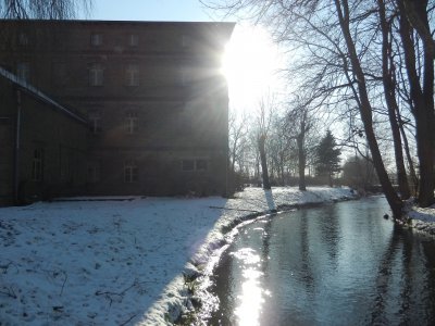 Foto des Albums: Morgensonne im Wintermantel (10.02.2012)