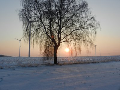 Foto des Albums: Morgensonne im Wintermantel (10.02.2012)