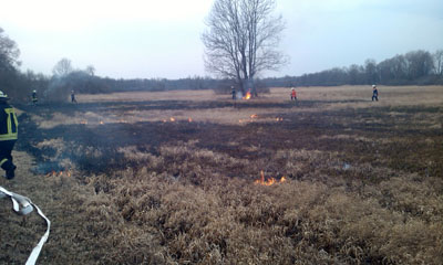 Foto des Albums: Einsatz Nr. 25/2012