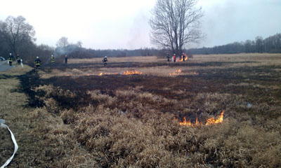 Foto des Albums: Einsatz Nr. 25/2012