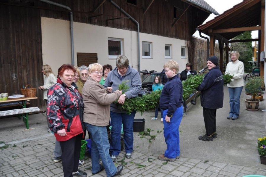 Bild der Galerie