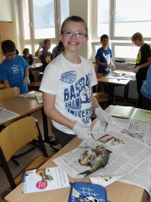Foto des Albums: SchülerInnen der Klasse 5b präparieren Fische!