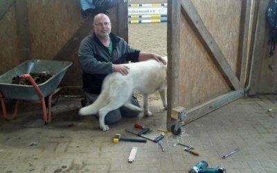 Foto des Albums: Großputztag im Stall
