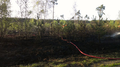 Foto des Albums: Einsatz Nr. 43/2012