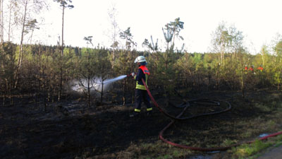 Foto des Albums: Einsatz Nr. 43/2012