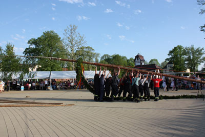 Foto des Albums: Maibaum aufstellen 2012