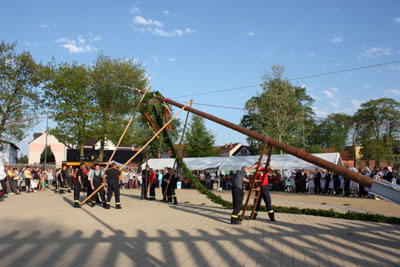 Foto des Albums: Maibaum aufstellen 2012