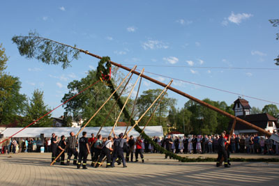Foto des Albums: Maibaum aufstellen 2012