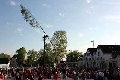 Foto des Albums: Maibaum aufstellen 2012