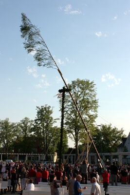 Foto des Albums: Maibaum aufstellen 2012